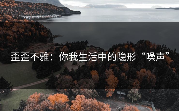 歪歪不雅：你我生活中的隐形“噪声”