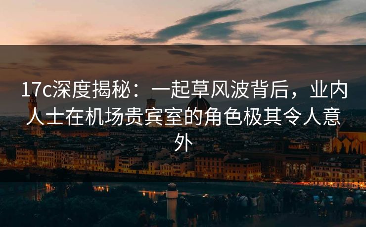 17c深度揭秘:一起草风波背后,业内人士在机场贵宾室的角色极其令人意外