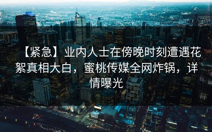 【紧急】业内人士在傍晚时刻遭遇花絮真相大白,蜜桃传媒全网炸锅,详情曝光